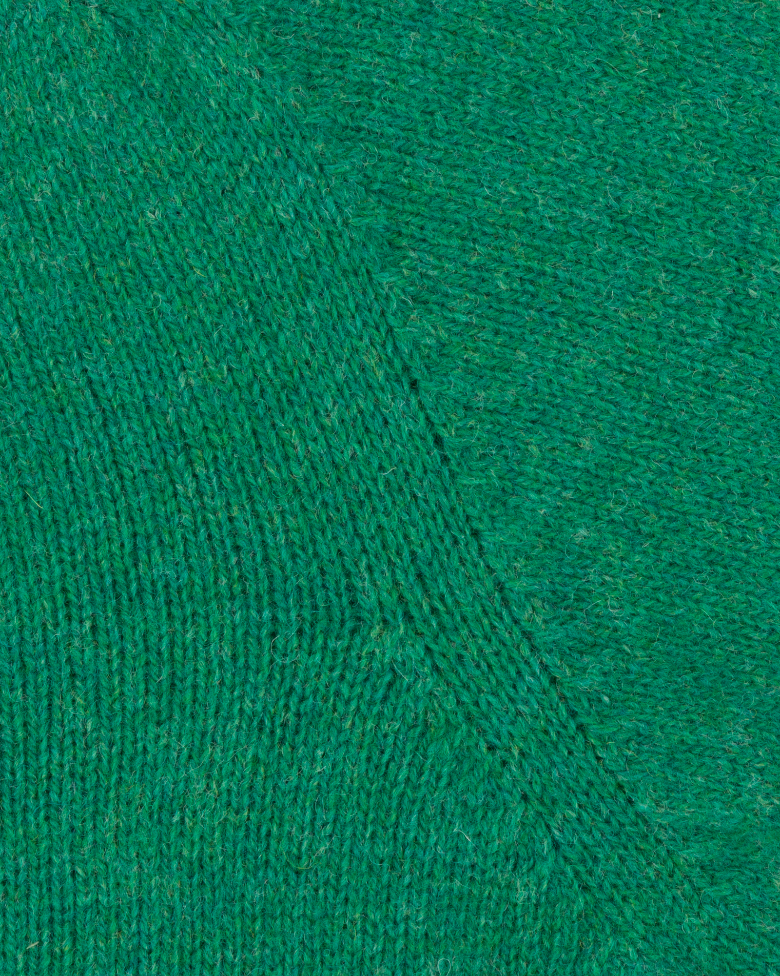 Shetland Wool Crew Neck Sweater - Green